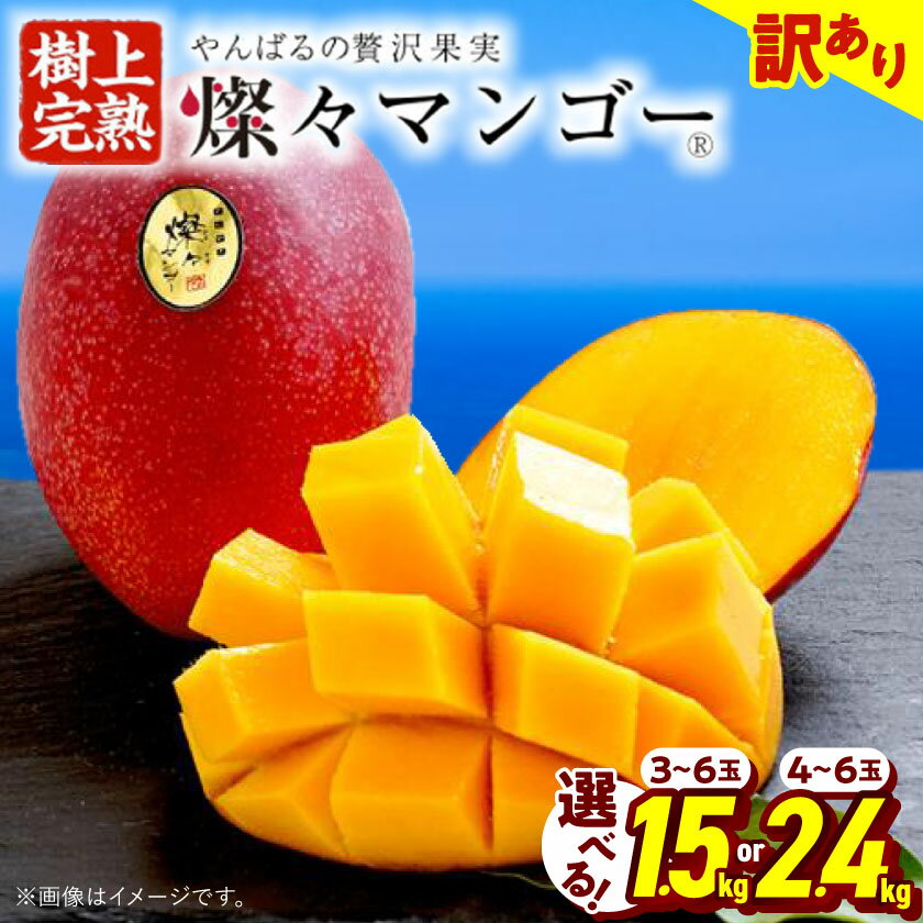 【2026年7月から順次発送・訳あり】燦々マンゴー 1.5kg(3～6玉)/2.4kg(4～6玉)_アップルマンゴー アーウィンマンゴー 沖縄 家庭用 規格外 贈答用 ギフト 果物 完熟 南国 フルーツ 期間限定 数量限定 沖縄県産 農家直送【配送不可地域：離島】【G1619685】