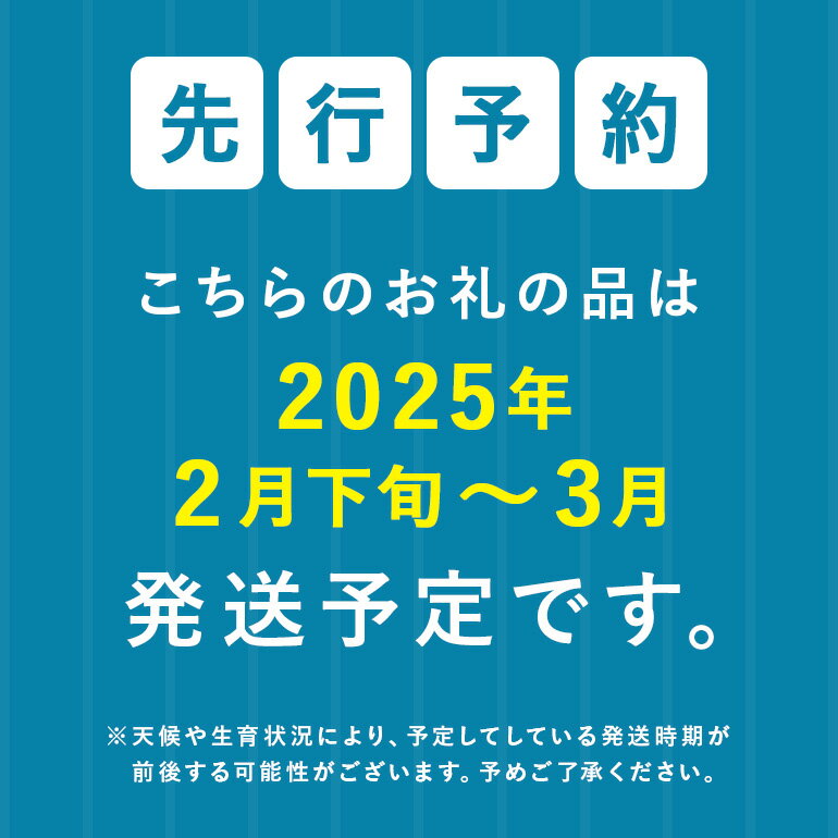 【ふるさと納税】【2026年2月～3月頃の発送】島袋さんの冬スイカ選べる 1～2玉(1玉あたり3.5～4.5kg)【配送不可地域：離島】【G1577664】 サムネイル2