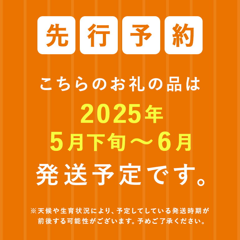 【ふるさと納税】先行予約島袋さんの初夏スイカ 選べる1玉～2玉(1玉5～7kg)【2026年6月上旬から順次発送】【配送不可地域：離島】【G1577669】 サムネイル2