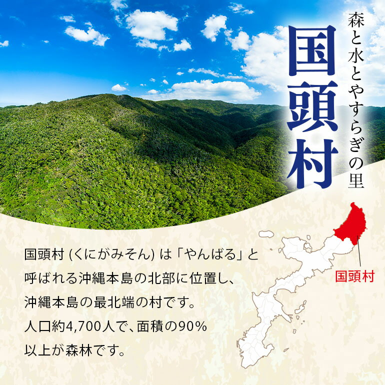 【ふるさと納税】沖縄県国頭村の対象施設で使える楽天トラベルクーポン 寄付額10,000円（クーポン額3,000円） サムネイル2