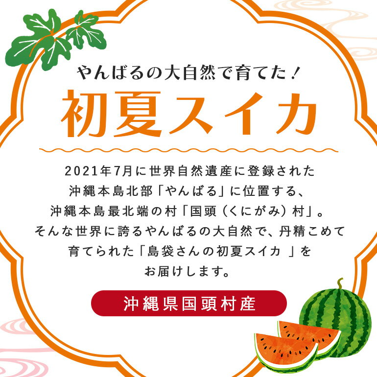 【ふるさと納税】先行予約島袋さんの初夏スイカ 選べる1玉～2玉(1玉5～7kg)【2026年6月上旬から順次発送】【配送不可地域：離島】【G1577669】 サムネイル3