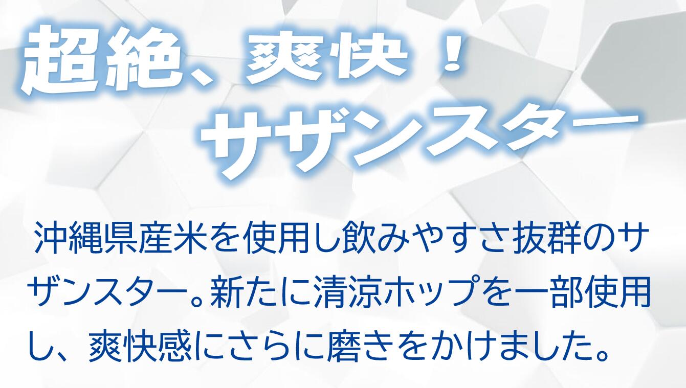 【ふるさと納税】オリオン　サザンスター（24缶） サムネイル2
