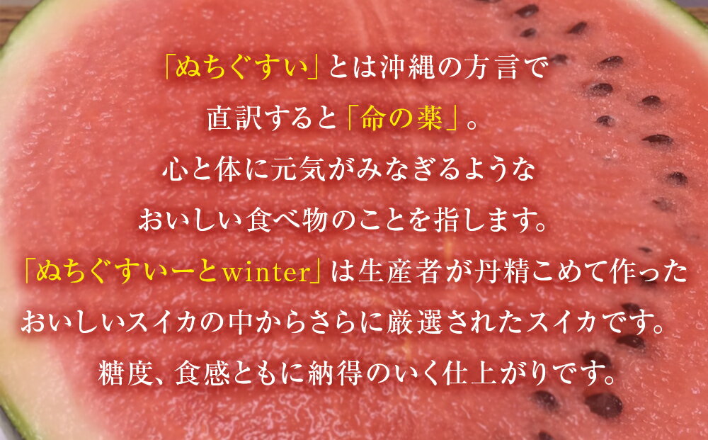 【ふるさと納税】【JAおきなわ】厳選すいか！ぬちぐすいーとwinter　【2026年1月～2月頃発送】先行予約 サムネイル2