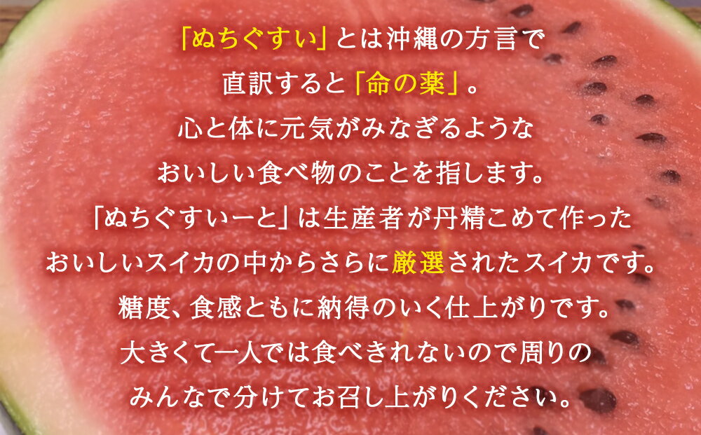 【ふるさと納税】【JAおきなわ】厳選すいか！ぬちぐすいーと　大玉7kg以上【2026年4月～5月頃発送】先行予約 サムネイル2