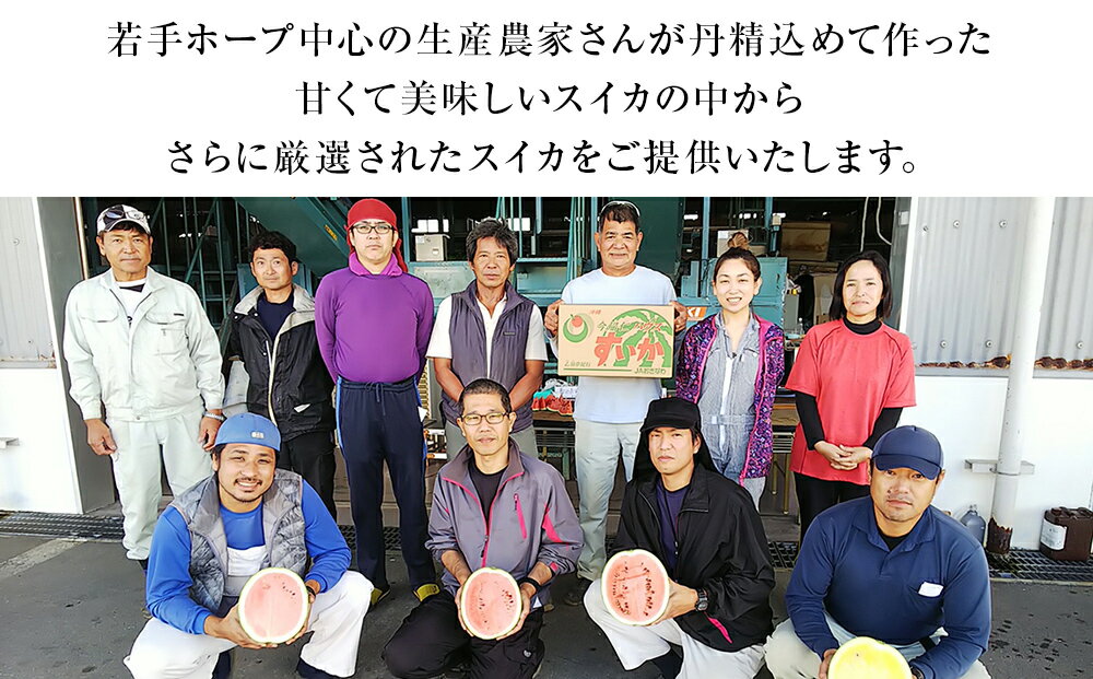 【ふるさと納税】【JAおきなわ】厳選すいか！ぬちぐすいーと　大玉7kg以上【2026年4月～5月頃発送】先行予約 サムネイル3