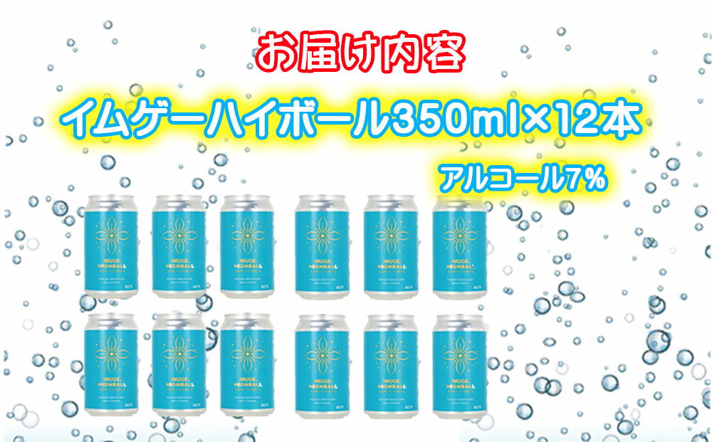 【ふるさと納税】今帰仁酒造　イムゲーハイボール350ml×12本 サムネイル3