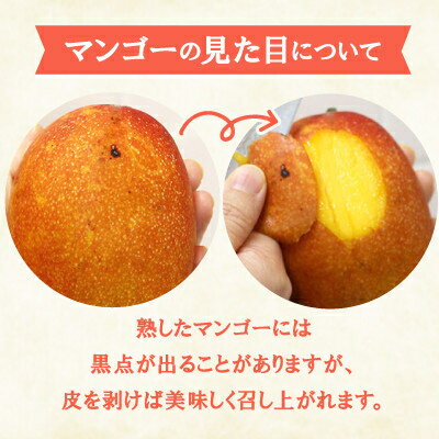 【ふるさと納税】【2026年6月下旬から順次発送】今帰仁産の完熟アップルマンゴー1kg～2kg(A級/特選)【配送不可地域：離島】【G4014730】 - 画像3
