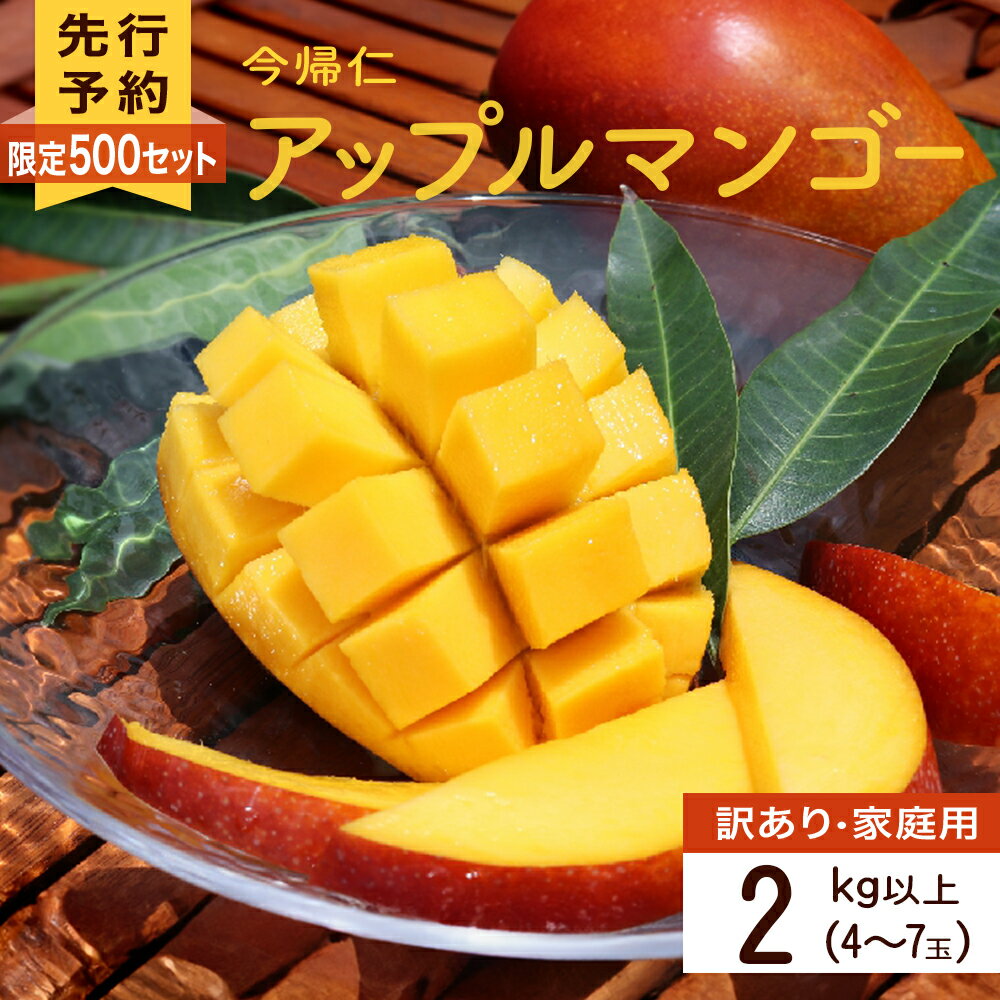 【訳あり・家庭用】限定500セット　今帰仁アップルマンゴー2kg以上(白箱）【2026年6月中旬～8月中旬頃発送】【生産者応援】
