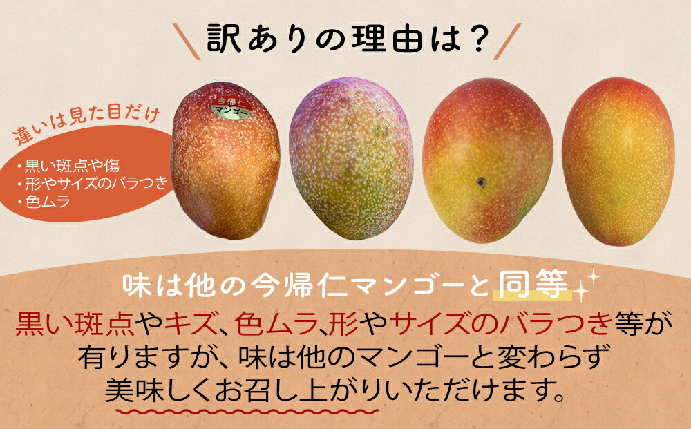 【ふるさと納税】 【訳あり・家庭用】限定500セット　今帰仁アップルマンゴー2kg以上(白箱）【2026年6月中旬～8月中旬頃発送】【生産者応援】 サムネイル2