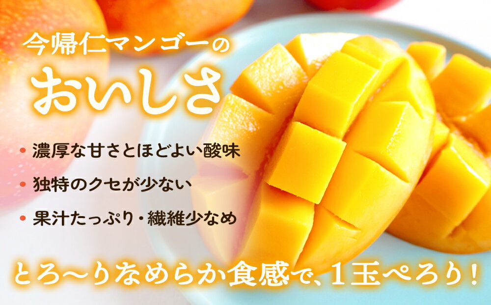【ふるさと納税】今帰仁マンゴー特選1kg〜2kg【先行予約】【2026年6月中旬～8月中旬頃発送】生産者直送 サムネイル2
