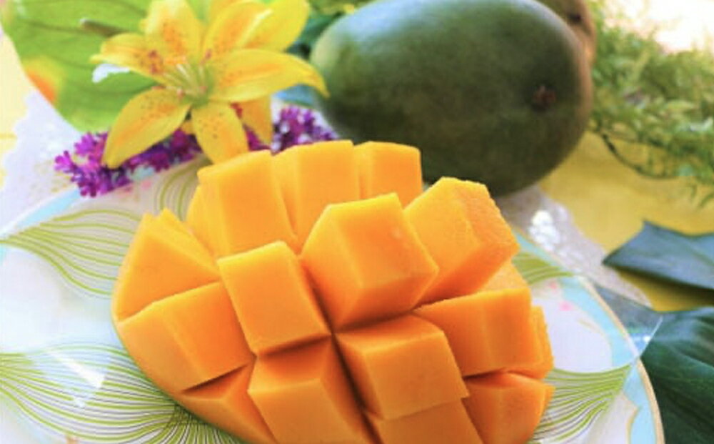 【ふるさと納税】緑のキーツマンゴー 800g〜2kg【2026年8月～9月頃発送】生産者直送 　先行予約 サムネイル2