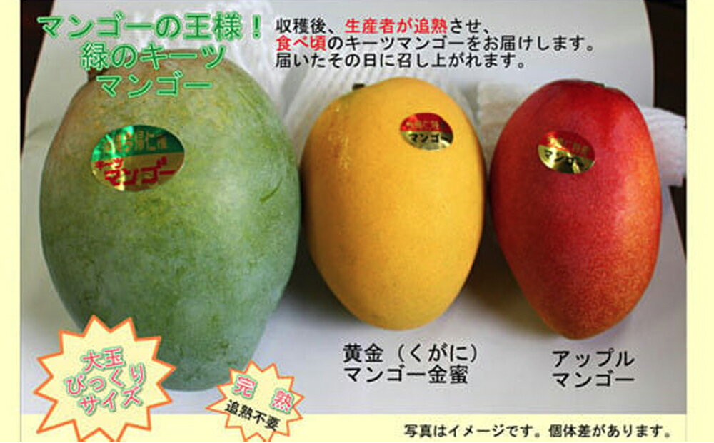 【ふるさと納税】緑のキーツマンゴー 800g〜2kg【2026年8月～9月頃発送】生産者直送 　先行予約 サムネイル3