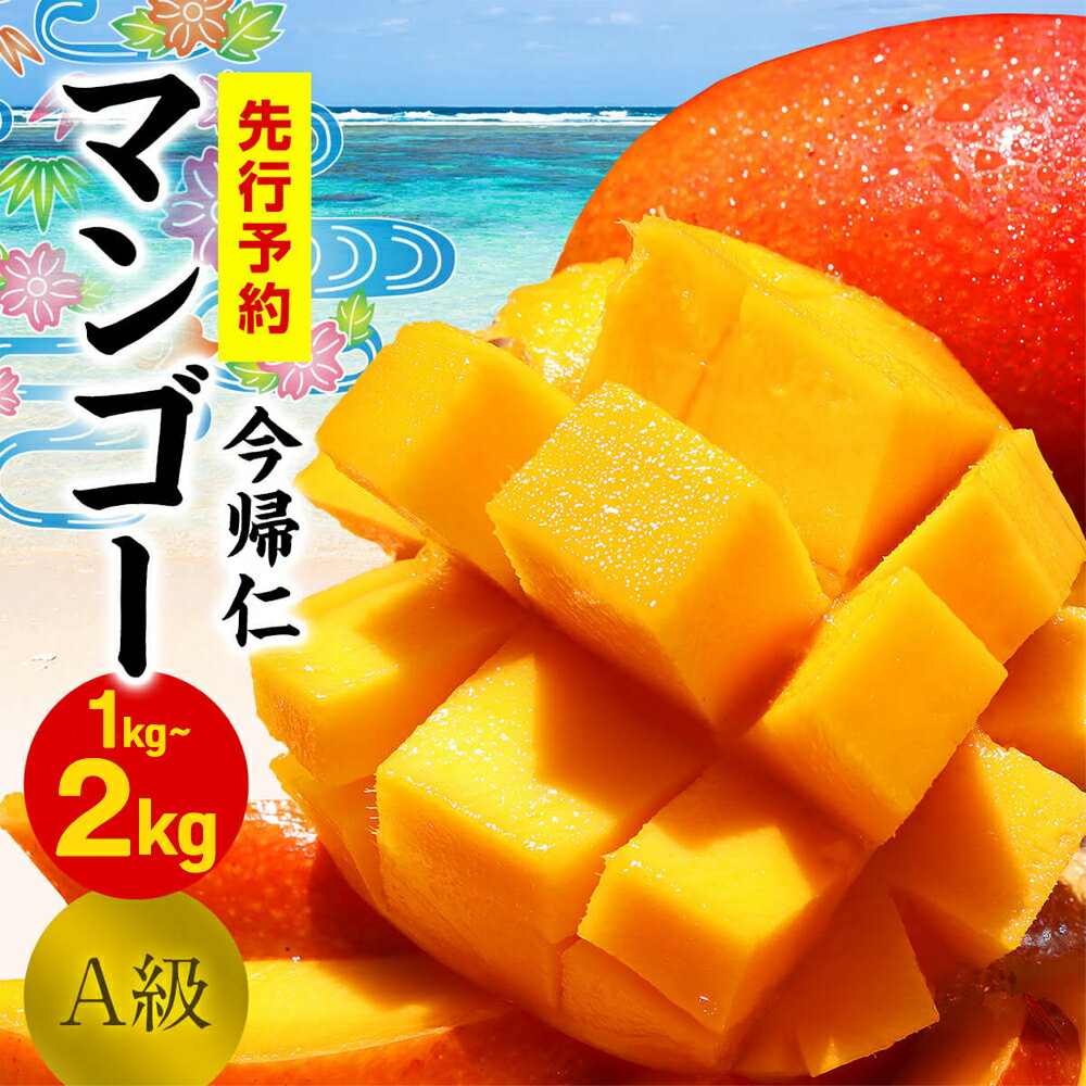 今帰仁マンゴーA級1kg〜2kg【先行予約】【2026年6月中旬～8月中旬頃発送】生産者直送 国産 沖縄 アップルマンゴー フルーツ 果物