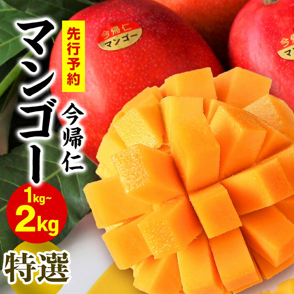 今帰仁マンゴー特選1kg〜2kg【先行予約】【2026年6月中旬～8月中旬頃発送】生産者直送