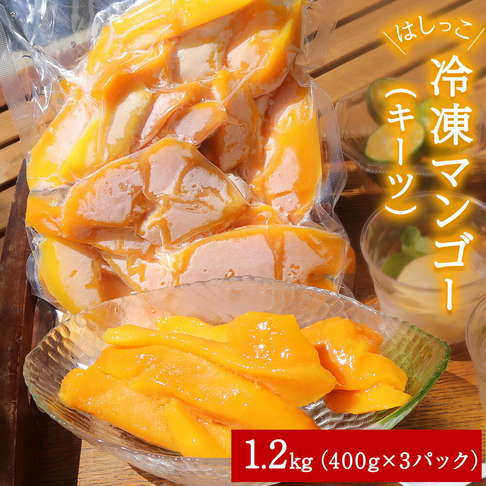 はしっこ冷凍マンゴー（キーツ）1.2kg（400g×3）訳ありお徳用パック 家庭用 生産者応援