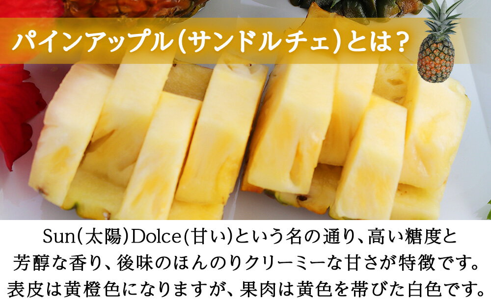 【ふるさと納税】 【2026年7月～8月頃配送】今帰仁産パインアップル（サンドルチェ）2～3玉　先行予約 サムネイル2