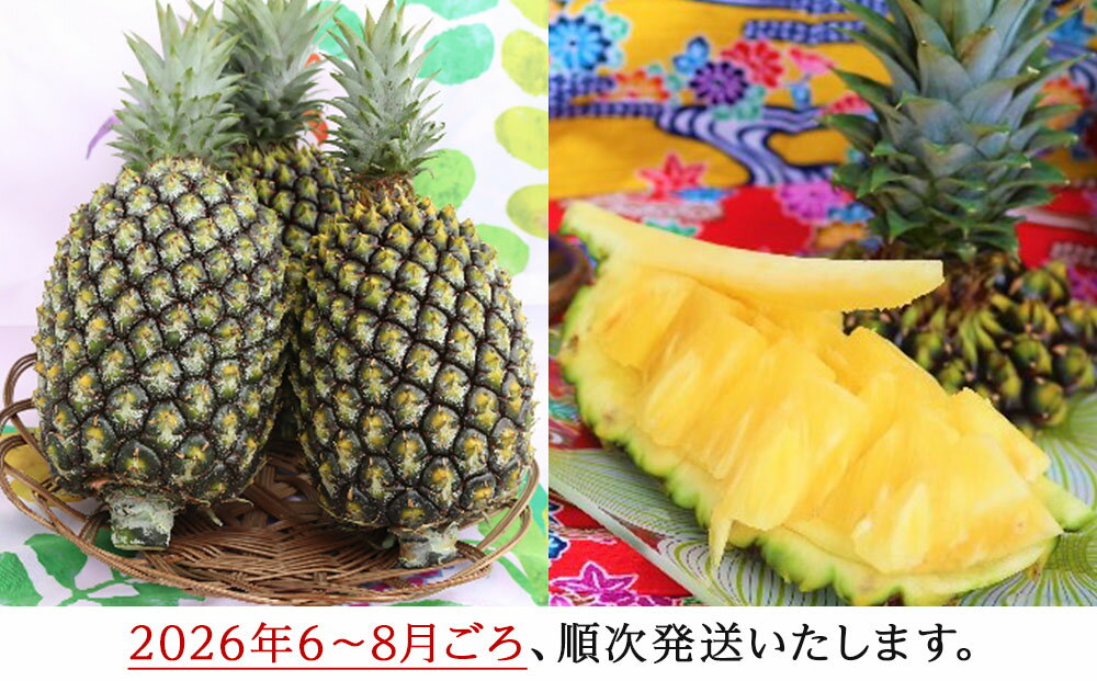 【ふるさと納税】 【2026年6～8月頃配送】今帰仁産パインアップル（ゴールドバレル）1.8kg以上　1～2玉　先行予約 サムネイル3