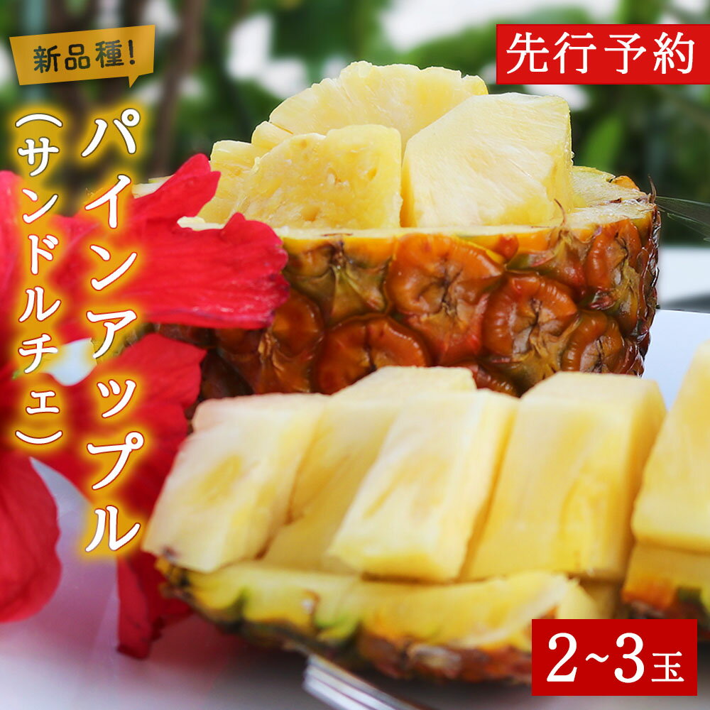 【2026年7月～8月頃配送】今帰仁産パインアップル（サンドルチェ）2～3玉　先行予約