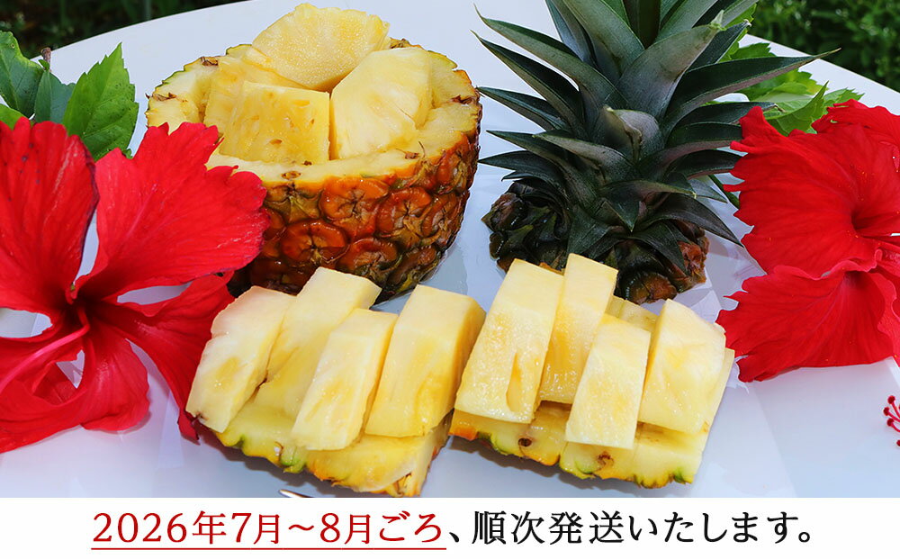【ふるさと納税】 【2026年7月～8月頃配送】今帰仁産パインアップル（サンドルチェ）2～3玉　先行予約 サムネイル3