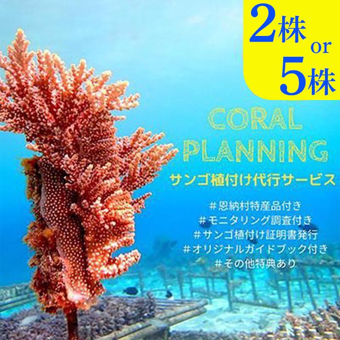 チケット サンゴ植付け ｜ 代行サービス「2株 or 5株」【恩納村ラグーン】 | 券 チケット ダイビング 体験 アクティビティ リゾート ふるさと納税 万座 恩納村 沖縄人気 おすすめ 送料無料