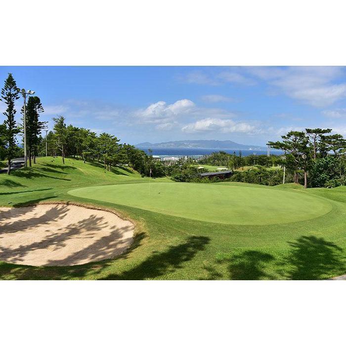 【ふるさと納税】チケット 土・日・祝日 ゴルフプレー券 (恩納村・1ラウンド ) 1名～4名 【美らオーチャードゴルフ倶楽部】 | ゴルフ 券 金券 人気 おすすめ 送料無料 沖縄 サムネイル2
