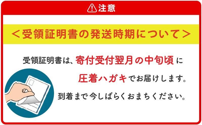 【ふるさと納税】楽天限定【訳あり・ご家庭用】アップルマンゴー（約1.5kg）【先行予約・2026年発送】 〇 マンゴー アップルマンゴー アーウィン ワケアリ 家庭用 訳アリ 沖縄 読谷村 うちなーすぐりむん 地場産品 自宅使い 人気商品 デザート サムネイル2