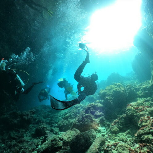 【むるぬーし】美ら海ベストポイント・ファンダイビング（2ダイブ）＜2名様分＞