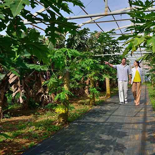 【ふるさと納税】ジ・ウザテラスビーチクラブヴィラズ＜商品券12万円分＞ - 画像3