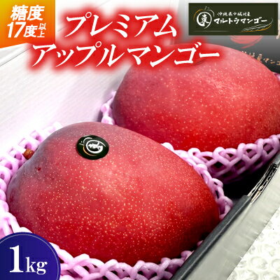【2026年6月下旬から順次発送】マルトウマンゴーのプレミアム アップルマンゴー1kg【配送不可地域：離島】【1670278】