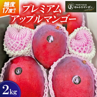 【2026年6月下旬から順次発送】マルトウマンゴーのプレミアム アップルマンゴー2kg【配送不可地域：離島】【1670285】