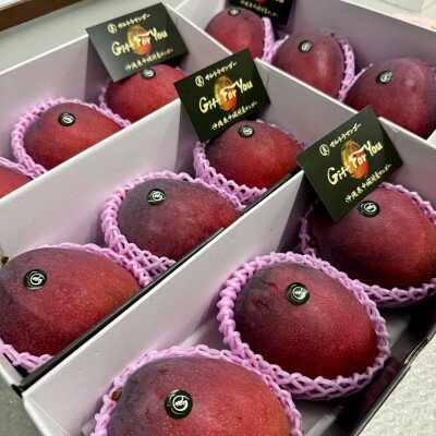 【ふるさと納税】【2026年6月下旬から順次発送】マルトウマンゴーのプレミアム アップルマンゴー2kg【配送不可地域：離島】【1670285】 サムネイル2