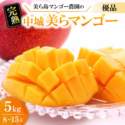 【2026年6月から順次発送・白箱】美ら島マンゴー農園の完熟中城美らマンゴー優品5kg(8～15玉)【配送不可地域：離島】【1672803】