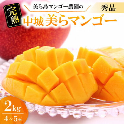 【2026年6月から順次発送・贈答用】美ら島マンゴー農園の完熟中城美らマンゴー秀品2kg(4～5玉)【配送不可地域：離島】【1672812】