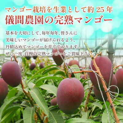 【ふるさと納税】【2026年6月下旬から順次発送・贈答用】儀間農園の完熟アップルマンゴー 秀品4kg(大玉7～8玉)【配送不可地域：離島】【1672927】 サムネイル3