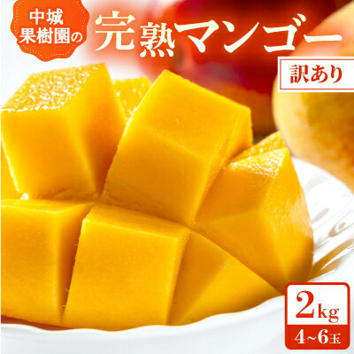 【2026年7月から順次発送・白箱】中城果樹園の完熟アップルマンゴー 訳あり2.0kg(4～6玉)【配送不可地域：離島】【1673145】