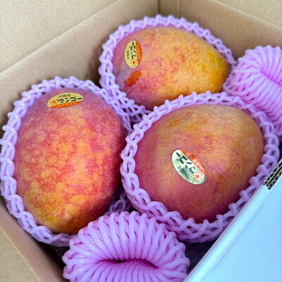 【ふるさと納税】【2026年7月から順次発送・白箱】中城果樹園の完熟アップルマンゴー 訳あり2.0kg(4～6玉)【配送不可地域：離島】【1673145】 サムネイル2