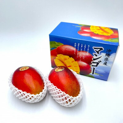 【ふるさと納税】【2026年7月から順次発送・化粧箱】中城果樹園の完熟マンゴー 優品1.0kg(2～3玉)【配送不可地域：離島】【1673160】 サムネイル2