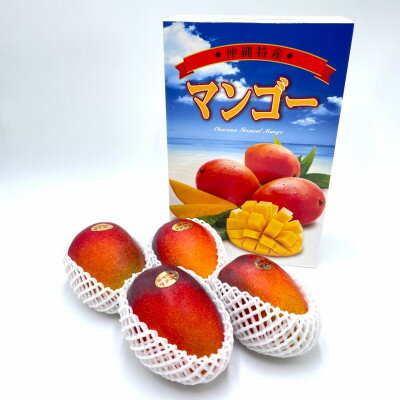 【ふるさと納税】【2026年7月から順次発送・化粧箱】中城果樹園の完熟マンゴー 優品1.5kg(3～5玉)【配送不可地域：離島】【1673170】 サムネイル2