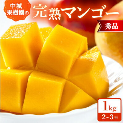 【2026年7月から順次発送・化粧箱】中城果樹園の完熟マンゴー 秀品1.0kg(2～3玉)【配送不可地域：離島】【1673411】