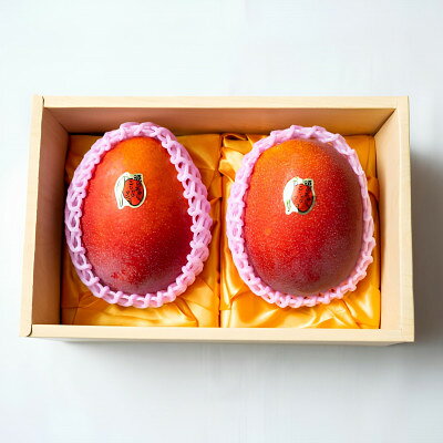 【ふるさと納税】【2026年発送・糖度15度以上保証】頑固おやじのこだわりマンゴー匠 大玉1kg(2玉)【配送不可地域：離島】【1675669】 サムネイル2