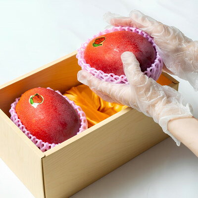 【ふるさと納税】【2026年発送・糖度15度以上保証】頑固おやじのこだわりマンゴー匠 大玉1kg(2玉)【配送不可地域：離島】【1675669】 サムネイル3