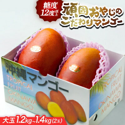 【2026年発送・糖度12度以上保証】頑固おやじのこだわりマンゴー大玉1.2kg～1.4kg(2玉)【配送不可地域：離島】【1675684】