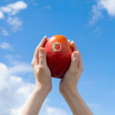 【ふるさと納税】【2026年発送・糖度12度以上保証】頑固おやじのこだわりマンゴー大玉1.2kg～1.4kg(2玉)【配送不可地域：離島】【1675684】 サムネイル2