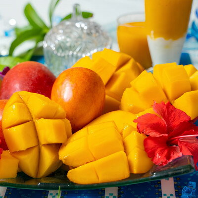 【ふるさと納税】【2026年発送・糖度12度以上保証】頑固おやじのこだわりマンゴー大玉1.2kg～1.4kg(2玉)【配送不可地域：離島】【1675684】 サムネイル3