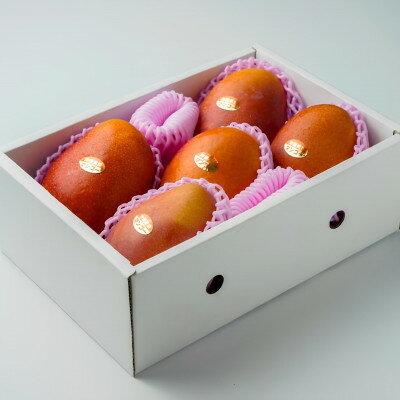 【ふるさと納税】【2026年発送・糖度12度以上保証】頑固おやじのこだわりマンゴー大玉2kg～2.2kg(4～5玉)【配送不可地域：離島】【1676029】 サムネイル2