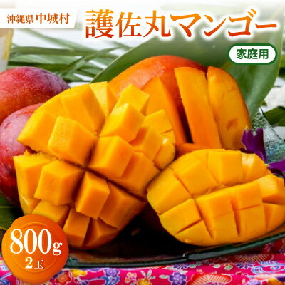 【2026年6月下旬から順次発送・家庭用】護佐丸マンゴー800g(2玉)【配送不可地域：離島】【1676033】