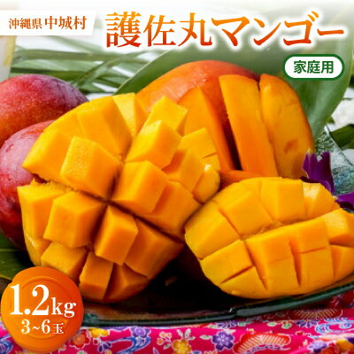【2026年6月下旬から順次発送・訳あり】護佐丸マンゴー1.2kg(3～6玉)【配送不可地域：離島】【1676053】