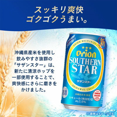 【ふるさと納税】オリオン サザンスター 1ケース(500ml×24本)オリオンビール【1678462】 サムネイル2