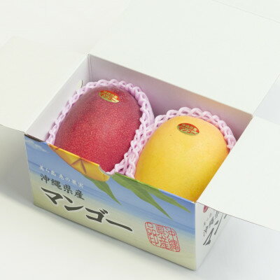 【ふるさと納税】【2026年発送・家庭用】頑固おやじのこだわりマンゴー 食べ比べ1kg 糖度20度超えの金蜜マンゴー【配送不可地域：離島】【1681750】 サムネイル2