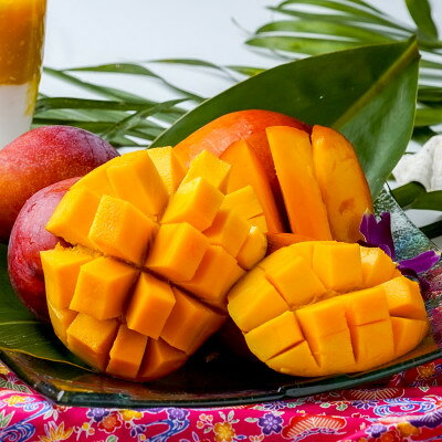 【ふるさと納税】【2026年発送・家庭用】頑固おやじのこだわりマンゴー 食べ比べ1kg 糖度20度超えの金蜜マンゴー【配送不可地域：離島】【1681750】 サムネイル3